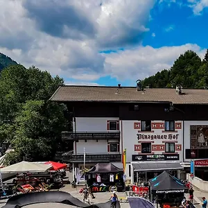 Pinzgauerhof & Bike - Inclusive Evening Dinner *** Зальбах-Хинтерглемм